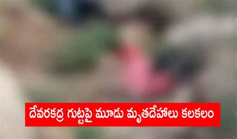 Dead Bodies: దేవరకద్ర గుట్టపై మూడు మృతదేహాలు కలకలం | three-dead-bodies ...