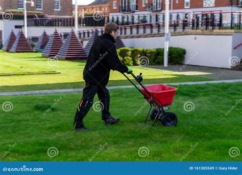 A Gardener Sowing Grass Seeds on a Lawn Using a Seed Spreading Machine ...