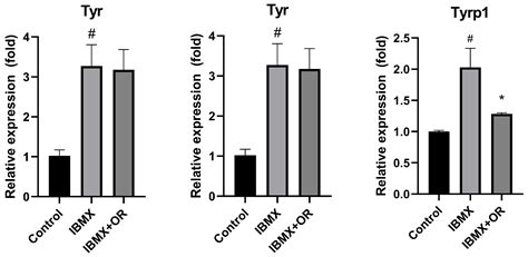 Unveiling the Potential of Plant-Derived Exosome-like Extracellular ...