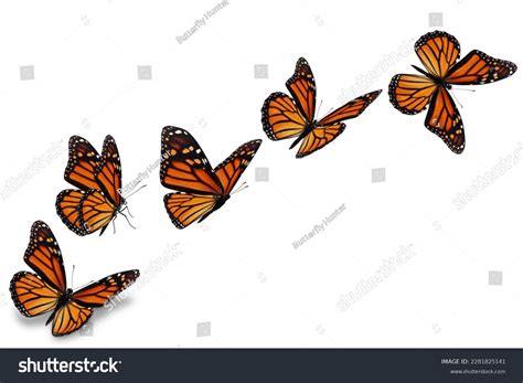 Flying Away Butterfly Drawings