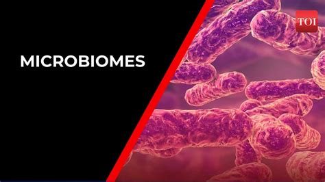 Microbiomes of people and homes they live in interact with each other ...