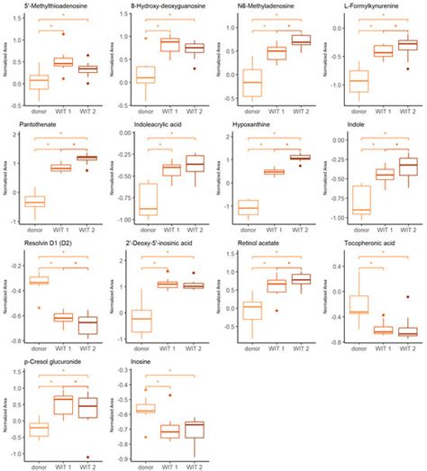 Metabolomic Insight into Donation After Circulatory-Death Kidney Grafts ...