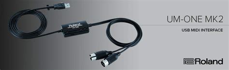 Roland UM-ONE- MK2 USB MIDI Interface : Amazon.in: Musical Instruments