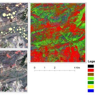 Image result for Spatial View