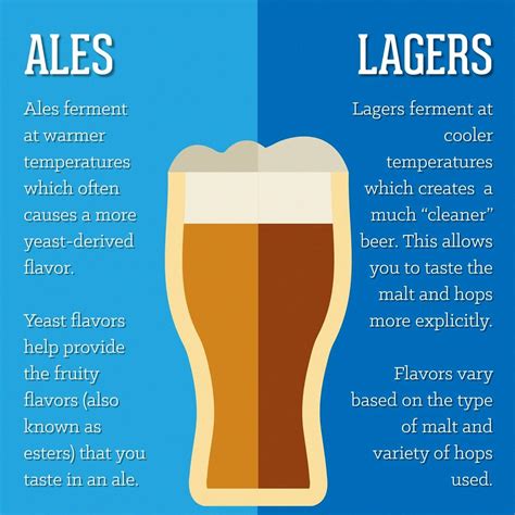 Difference Between Lager And A Pilsner at Jimmy Rahn blog