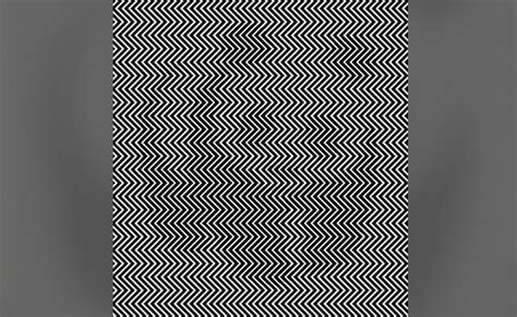 अगर आप हैं जानकार तो इस तस्वीर में खोजिए क्यूट जानवर, 7 सेकंड में खोज ...