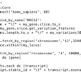 Image result for Ruby Script