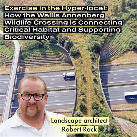 How the Wallis Annenberg Wildlife Crossing is Connecting Critical ...