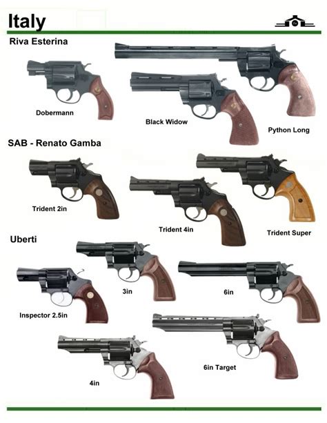 Image result for Revolver Governor Problem