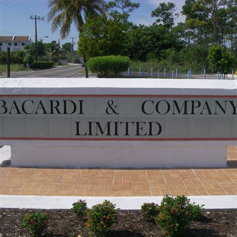 BACARDI DISTILLERY (2026) All You Need to Know BEFORE You Go (with ...