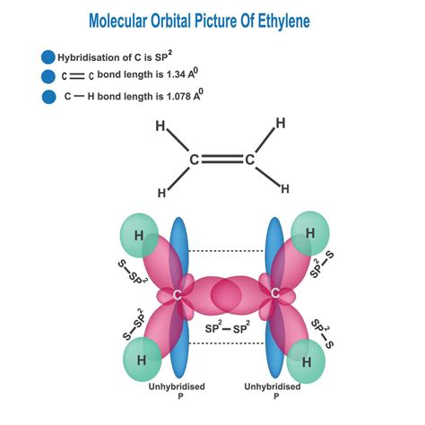 molecular orbital picture of ethylene, formation of sp2 hybridisation ...