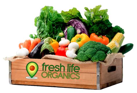 Fresh Produce 101 | Practical Tips for Buying Seasonal Produce