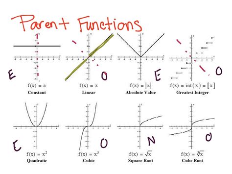 Graphing the Basic Functions