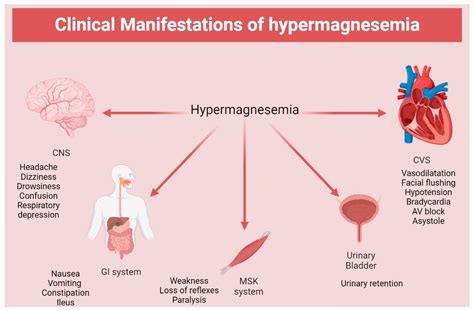 Hypermagnesemia in Clinical Practice