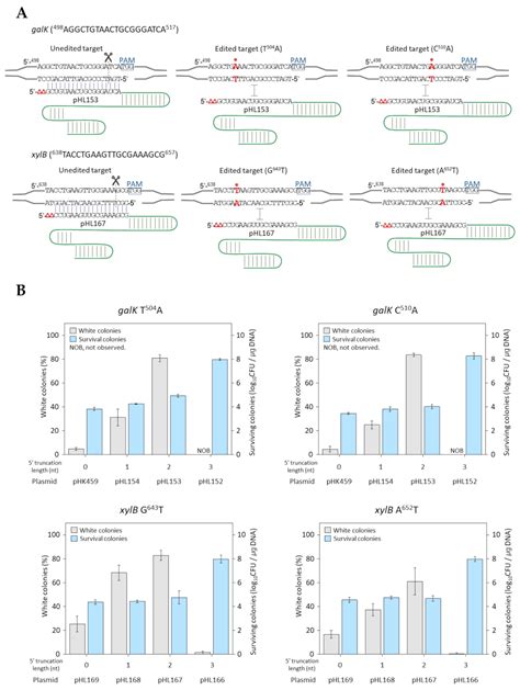 Mismatch Intolerance of 5′-Truncated sgRNAs in CRISPR/Cas9 Enables ...