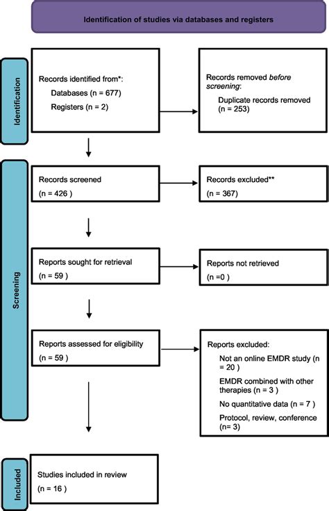 Image result for Systematic Review Process