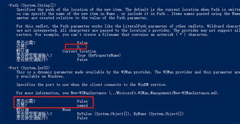 PowerShell Parameter Set 的图像结果