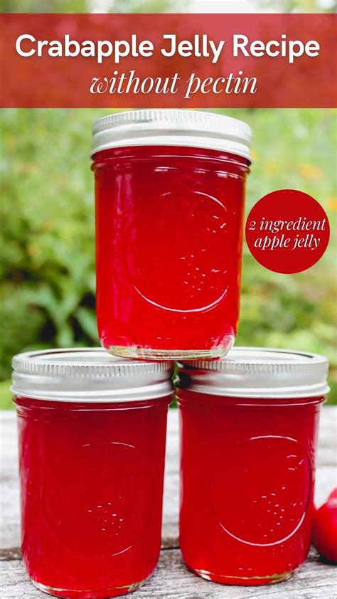 Watermelon jelly – Artofit