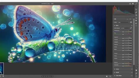 Image result for Camera Raw Basics