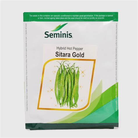 Seminis Sitara Gold Chilli Seed Price in India – BEEJMART
