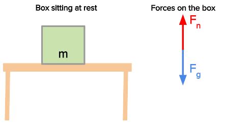 Image result for normal force examples