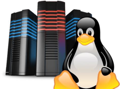Image result for Linux Server PNG