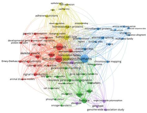 New Findings on LMO7 Transcripts, Proteins and Regulatory Regions in ...