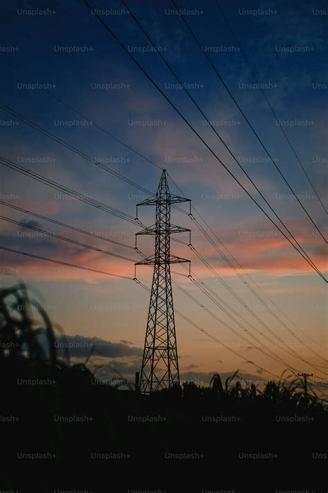 Source Unsplash 的图像结果