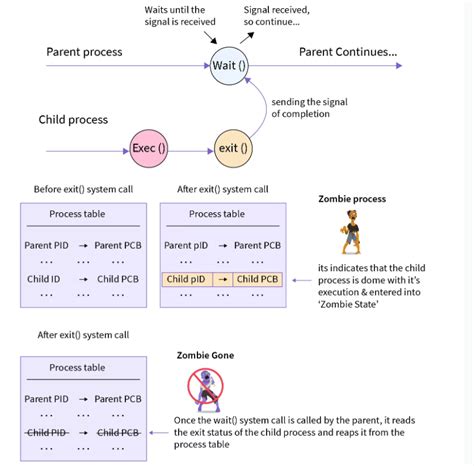 Orphan Process 的图像结果