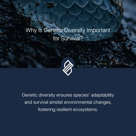 Genetic Bottleneck → Term