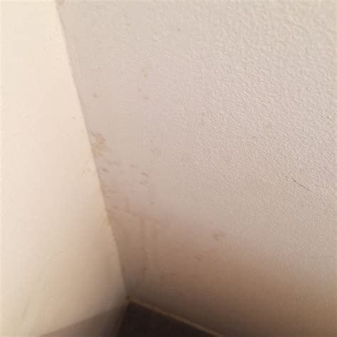 KOMPLEKS WYPOCZYNKOWO REKREACYJNY LAGUNA (Mrzezyno) - Hotel Reviews ...