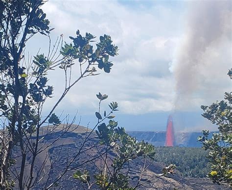 KEIKANA TOURS (2026) All You Need to Know BEFORE You Go (with Reviews ...