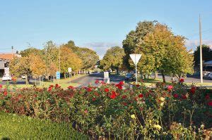 Image result for Maffra Computer Program