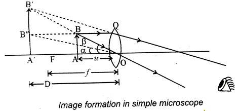 Image result for Simple Microscope Physics