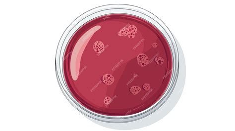 Petri Dish Agar Plate Vector Isolated Illustration for Microbiology ...