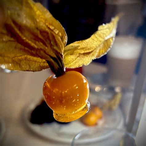 THE CHERRY HOUSE RESTAURANT, Peterborough - Restaurant Reviews, Phone ...