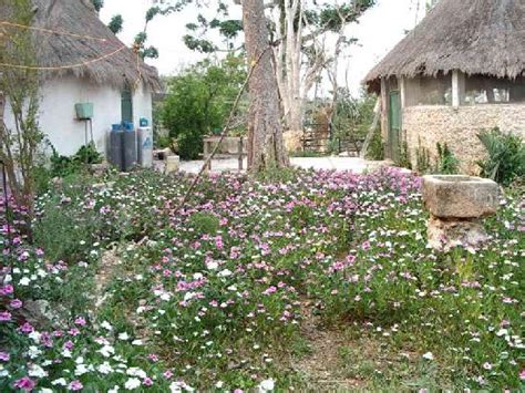 RANCHO KOMCHEN (Merida) - Ranch Reviews & Photos - Tripadvisor