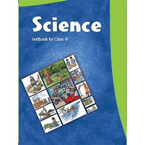 Important Chapters from NCERT Class 6 Science and Summaries - Science ...