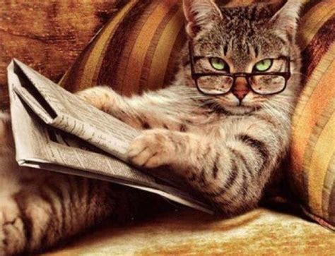 Image result for Fastest Reader Reading