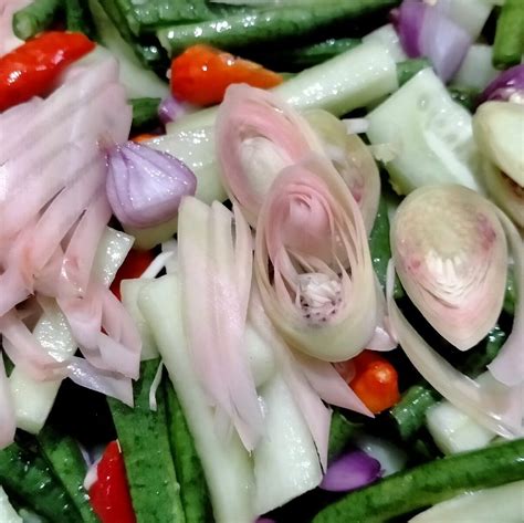 Wisata Petik Bunga Kecombrang (Malang) - All You Need to Know BEFORE You Go