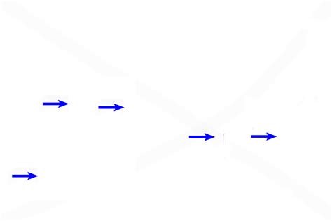 Intramembranous 2 | Digital Histology