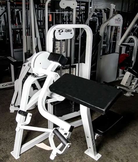 Image result for Cybex Arm Curl Machine