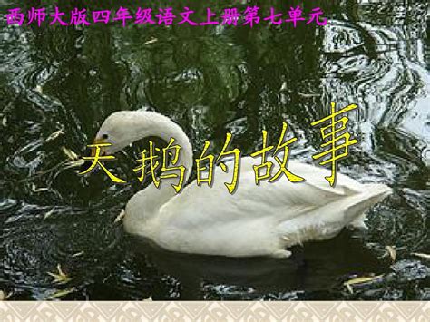 Code API 的图像结果