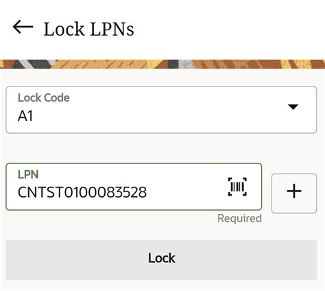 Lock and Unlock LPNs