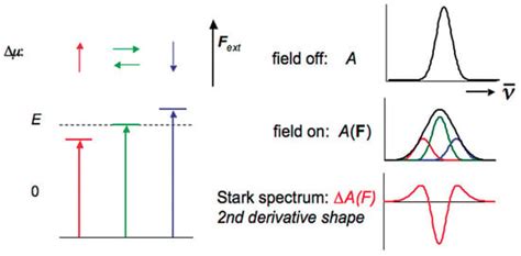 Effects and Influence of External Electric Fields on the Equilibrium ...