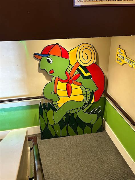 THE GREEN TORTOISE HOSTEL SEATTLE - Updated 2025 Prices & Reviews (WA)