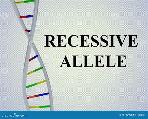 Image result for Recessive Allele Example