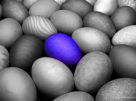 Image result for Color Isolation