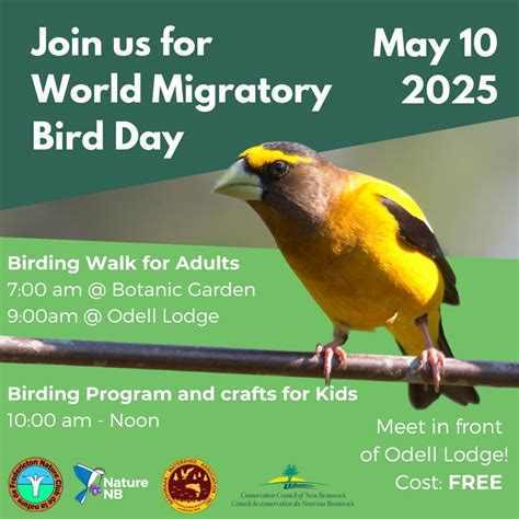 World Migratory Bird Day, Odell Park, Fredericton, 10 May 2025 | AllEvents