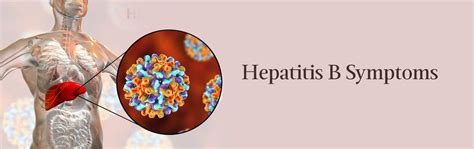 Hepatitis B Symptoms, Causes, Diagnosis, Treatment and Prevention
